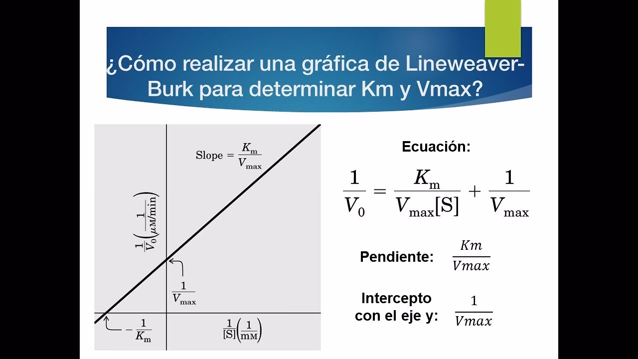 ¿Cómo calcular km y vmax a partir del gráfico de Lineweaver-Burk en Excel?