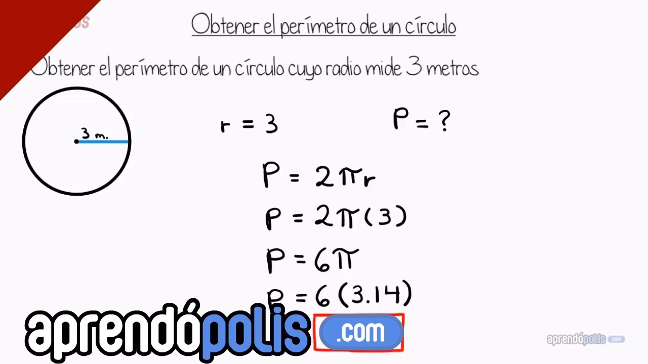 ¿Cómo se calcula el área y el perímetro de un círculo?