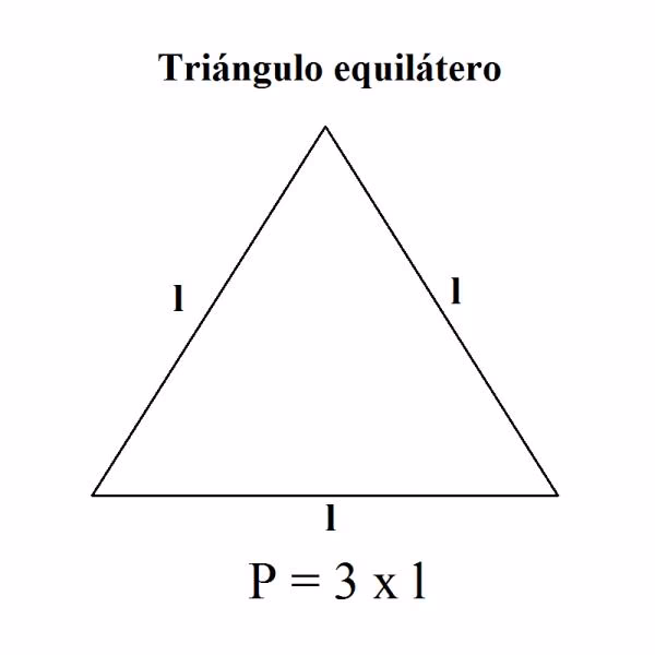 ¿Cómo se calcula el perímetro de un triángulo rectángulo?