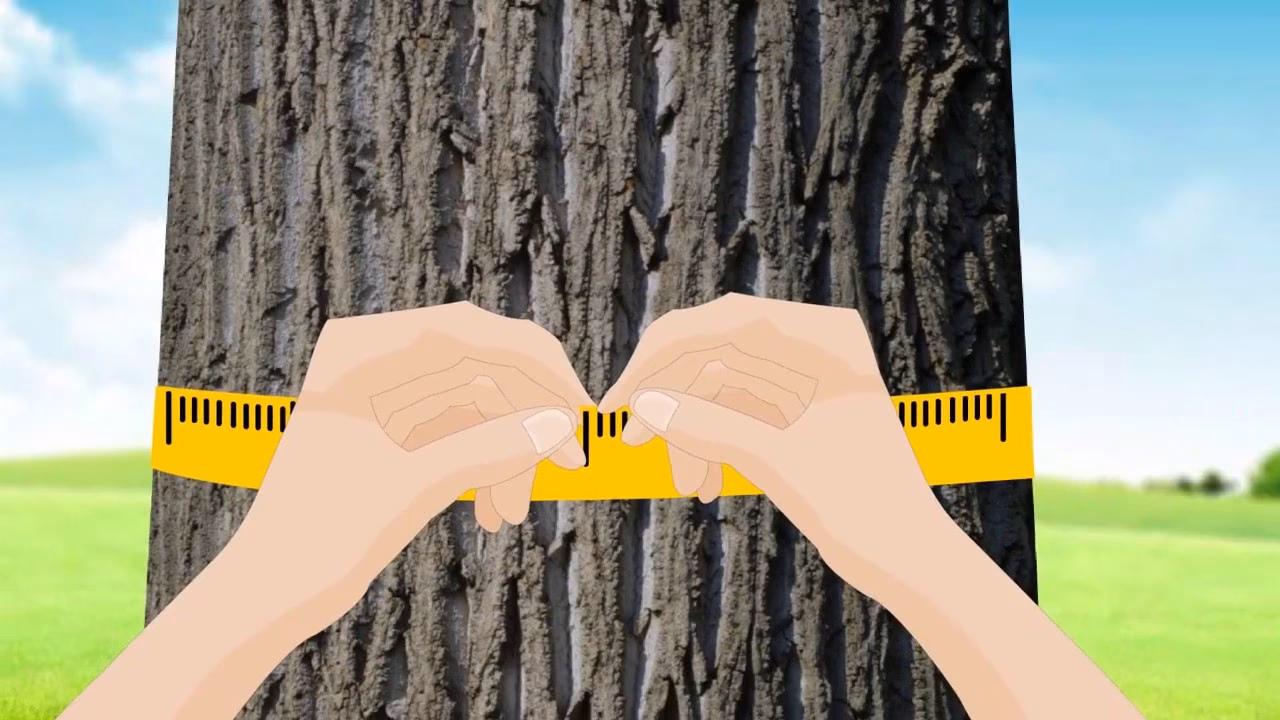 ¿Cómo se calcula el DAP a partir del CAP?