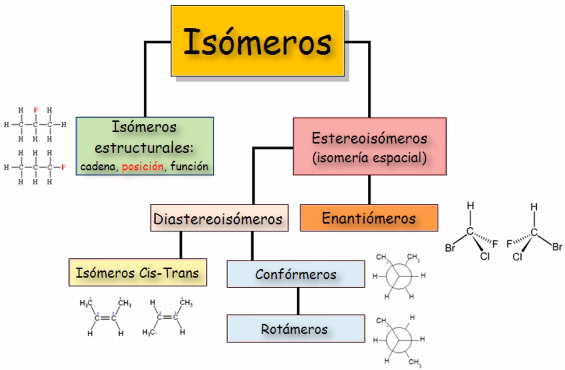 ¿Qué son los isómeros de función?