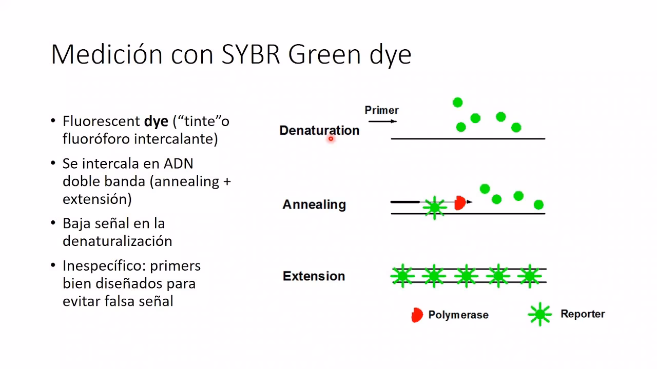 ¿Cuál es la fórmula para la PCR en tiempo real?