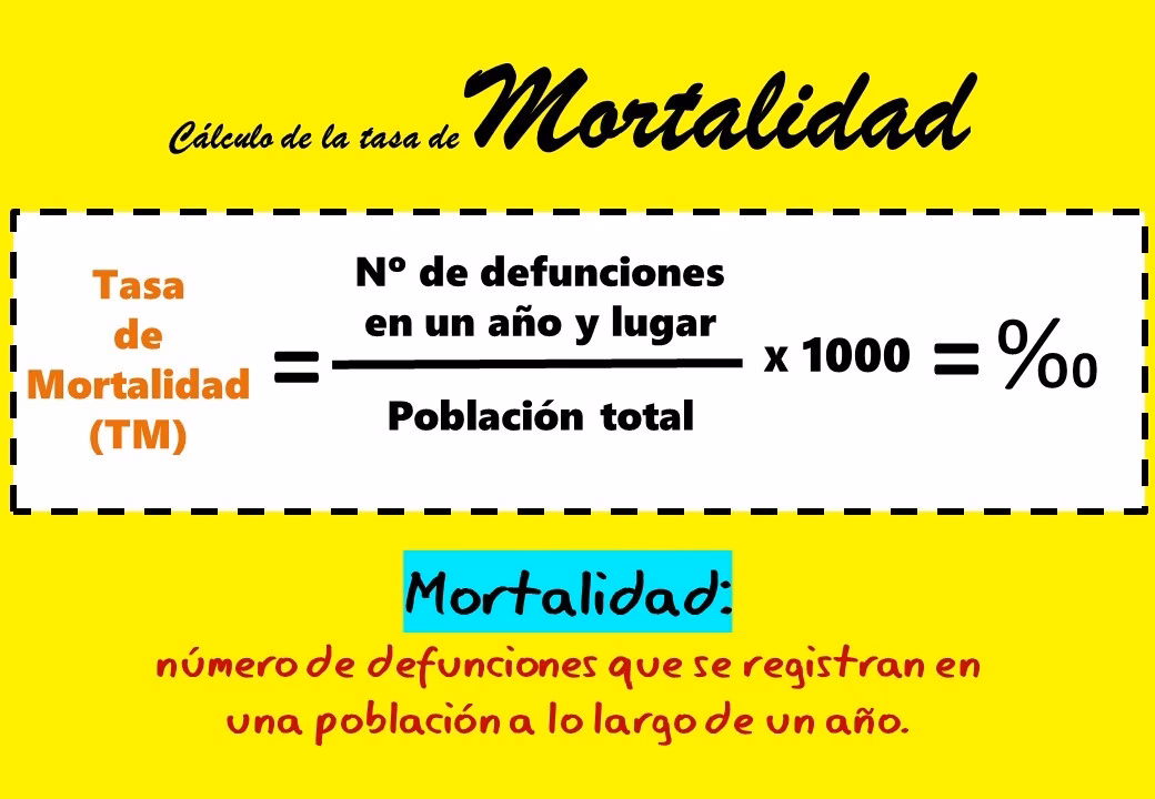 ¿Qué es la medición de la morbilidad?