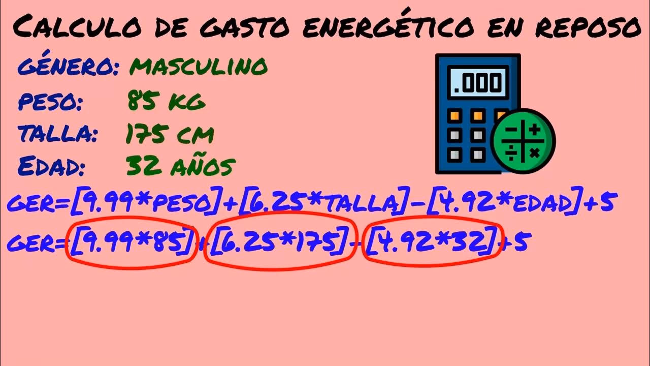 ¿Cómo se calcula el gasto energético en reposo?