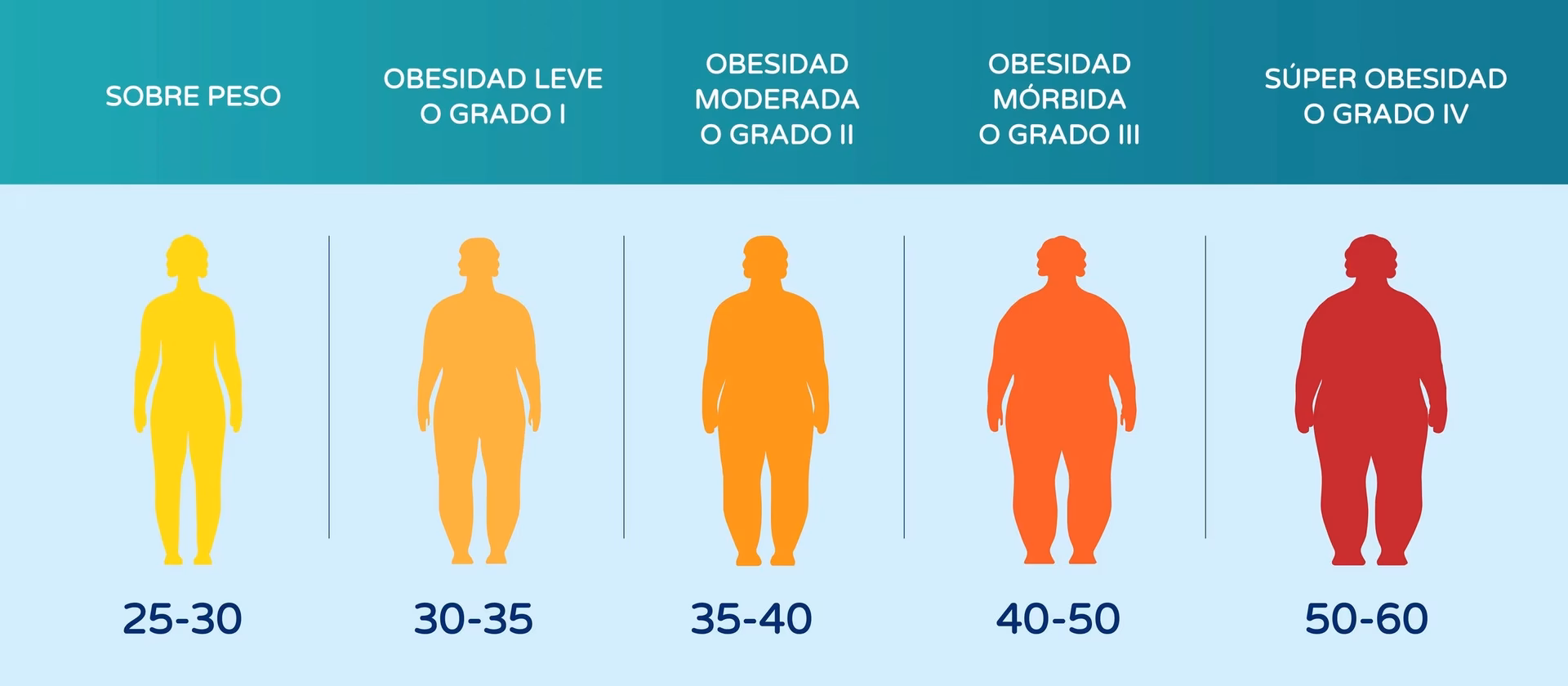 ¿Por qué mi IMC es 27 pero no tengo grasa?