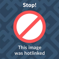 ¿Cuál fue el impacto de la calculadora?