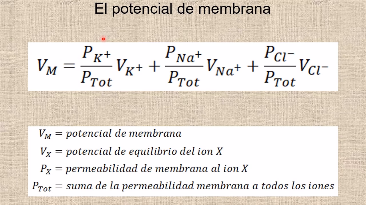 ¿Cómo calcular la cantidad de membrana líquida?
