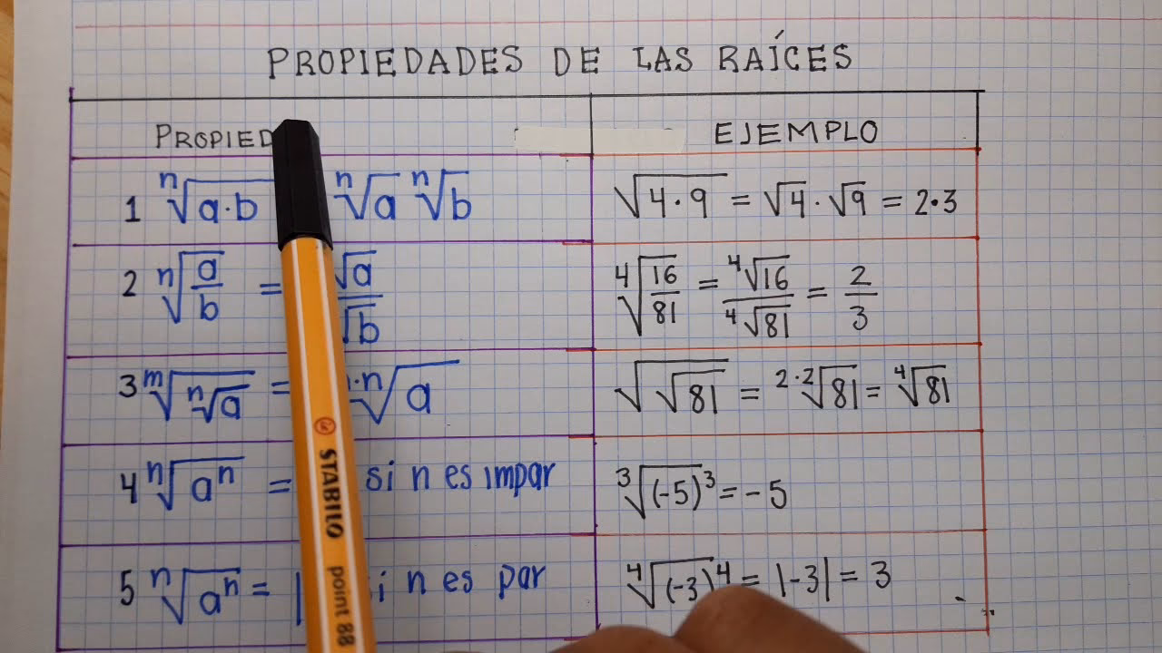 ¿Qué propiedades tienen las raíces?