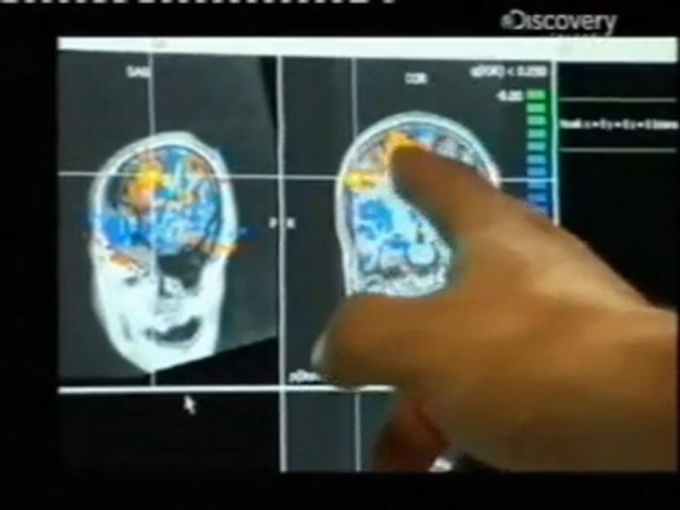 ¿Quién es la chica calculadora humana en YouTube?