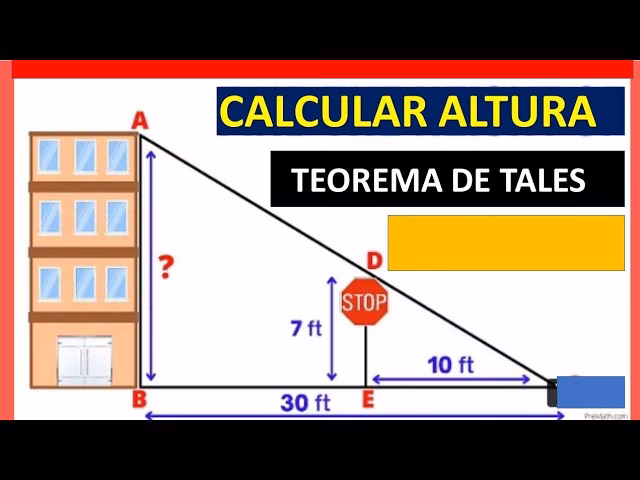¿Cuál es la altura del edificio según el teorema de Tales?
