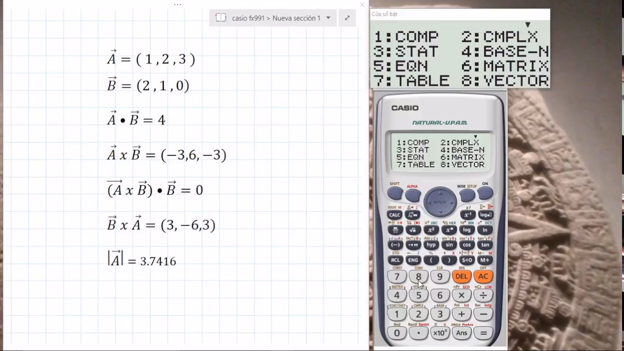¿Cómo poner un vector en una calculadora?